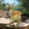 Design Toscano Woodland Buck Deer Statue 1 Design Toscano Woodland Buck Deer Statue -Selected Home Furnishings Store GUEST 124b712e 44eb 4e16 ba66 3064f21ad5b5