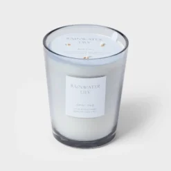 Colored Vase Glass With Dustcover Rainwater Lily Candle Gray - Threshold™ 13 Colored Vase Glass With Dustcover Rainwater Lily Candle Gray - Threshold™ -Selected Home Furnishings Store GUEST 1a738ead 7e7a 4f46 b4ff 79439b3488d0