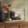 20" X 16" Bear Photography Framed Art Brown - Threshold™ -Selected Home Furnishings Store GUEST 3517e61a d5f0 4c54 bc45 14e5e4e062d4