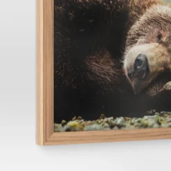 20" X 16" Bear Photography Framed Art Brown - Threshold™ 7 20" X 16" Bear Photography Framed Art Brown - Threshold™ -Selected Home Furnishings Store GUEST 8d29808a 8d0a 4121 a8c8 64d15cc45658