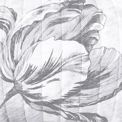 Standard Merian Tulip Sham Gray/White - New York Botanical Garden 6 Standard Merian Tulip Sham Gray/White - New York Botanical Garden - Image 4