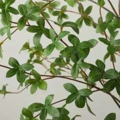 55" Faux Gypsophila Leaf Tree - Hearth & Hand™ With Magnolia 5 55" Faux Gypsophila Leaf Tree - Hearth & Hand™ With Magnolia -Selected Home Furnishings Store GUEST 9ffa8c3c dbee 4e82 ac75 716dcddf07e6