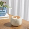 12oz Brushed Abstract Pumpkin Ceramic With Woodwick And Dustcover Warm Cider + Cinnamon Candle - Threshold™ 1 12oz Brushed Abstract Pumpkin Ceramic With Woodwick And Dustcover Warm Cider + Cinnamon Candle - Threshold™ -Selected Home Furnishings Store GUEST a500439a 2905 497b 90d6 450705c0a5a5