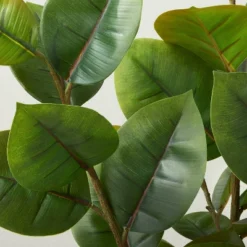 73" Faux Rubber Leaf Tree - Hearth & Hand™ With Magnolia 6 73" Faux Rubber Leaf Tree - Hearth & Hand™ With Magnolia -Selected Home Furnishings Store GUEST ba2dac9f 6b7d 4918 9626 46c071b77ecf