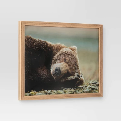 20" X 16" Bear Photography Framed Art Brown - Threshold™ 4 20" X 16" Bear Photography Framed Art Brown - Threshold™ - Image 2