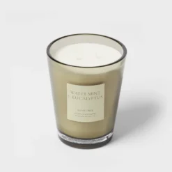 Colored Vase Glass With Dustcover Watermint And Eucalyptus Candle Green - Threshold™ 11 Colored Vase Glass With Dustcover Watermint And Eucalyptus Candle Green - Threshold™ -Selected Home Furnishings Store GUEST c7ced8f8 1486 4167 bf53 4e77271a3df4