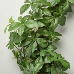 24" Faux Gypsophila Wreath - Hearth & Hand™ With Magnolia 6 24" Faux Gypsophila Wreath - Hearth & Hand™ With Magnolia -Selected Home Furnishings Store GUEST d5e86c6f a0af 49f0 9985 50738c58edc3